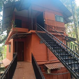 סולטאן באטרי Ayurguru Ayurvedic Kalari Resort Exterior photo
