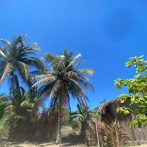 מלון La Sabrosa Salty Rebel Chacahua, Oaxaca Exterior photo