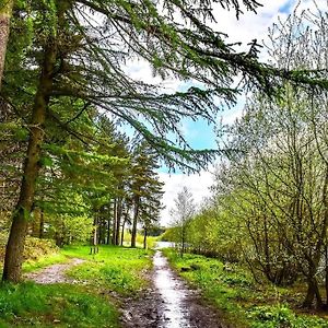 Stocksbridge  Stone Moor Lodge: Justin'S Peak District Base Camp Exterior photo