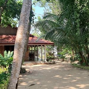Kochchikade Nature Love Negombo Exterior photo
