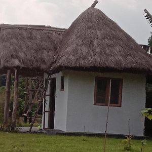 Fort Portal Wakanda Cottage Kibale Exterior photo