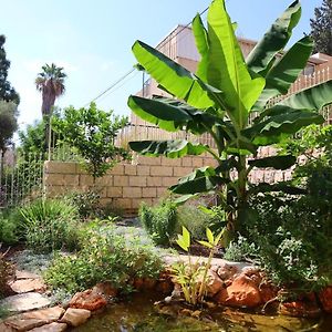 חיפה Alice Fishpond Garden Place אליס בארץ התלפיות Exterior photo