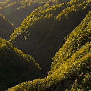 דירות Auressio Wild Valley Ticino Vista In Valle Onsernone Exterior photo