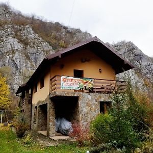 מלון Remeţi Casa Artemi Exterior photo