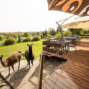 Česká Skalice Hotel Rozkos Exterior photo