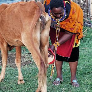 Sekenani Nashipa Homestay Maasai Mara Exterior photo