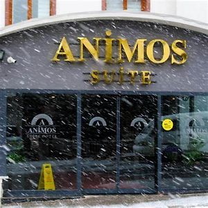 אנקרה Animos Butik Otel Exterior photo