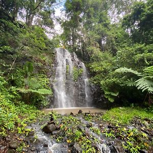 מלון Nimbin Waterfall Retreat Exterior photo