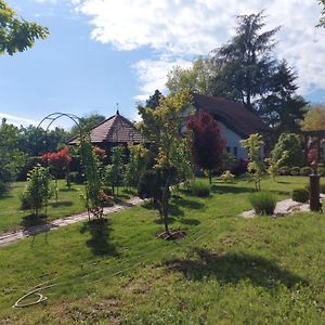 הוילה Vladimirci Kuca Na Savi - Stari Hrast Exterior photo