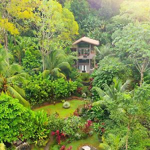 אוביטה Tortuga Premium Riverfront Jungle Villa With Jacuzzi And Pool Exterior photo