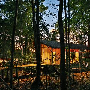 San Pedrillo Scp Corcovado Wilderness Lodge Exterior photo