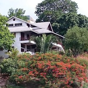 Buccoo The Nest Tobago Apartments Exterior photo