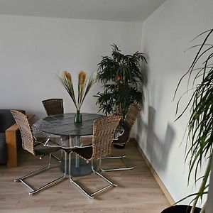 Riedisheim Appartement Proche Gare Aeroport Mulhouse Exterior photo