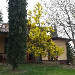 Medesano Villa Mimosa Exterior photo