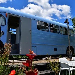 Puketona Evi The School Bus At Oromahoe Downs Farm Exterior photo