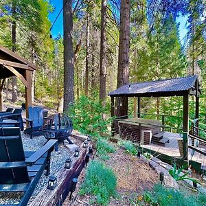 הוילה Pollock Pines Cabin In The Trees - Hot Tub Exterior photo