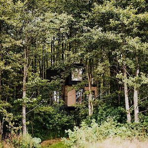 Miłomłyn Dziki Las - Domki Na Drzewach Exterior photo