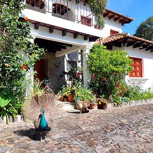 אנטיגואה גואטמלה Hotel Y Jardines Casa Buho Exterior photo