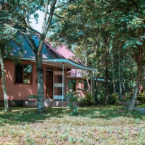 מוואנזה Charming Bungalows Exterior photo