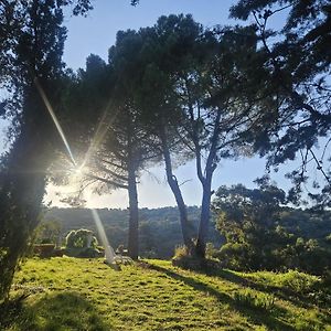 הוילה La Fregeneda Casa Rural Camino De Hierro I Y II Exterior photo