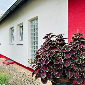 Steinheim an der Murr ☆Gemutliche 1-Zimmerwohnung Mit Terrasse☆ Exterior photo