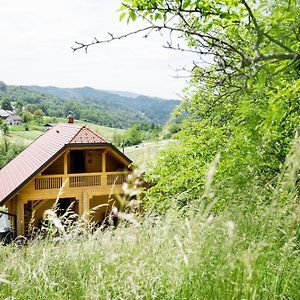 דירות Laško Apartma Smithy Exterior photo