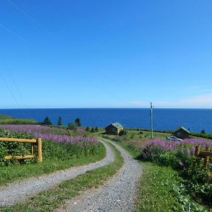 Sainte-Therese-de-Gaspe Les Chalets Brise-De-Mer Exterior photo