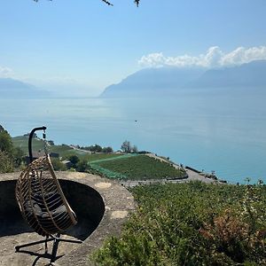 Puidoux Panoramic Room In The Vineyard,Stunning Views Of Lake And Alps Exterior photo