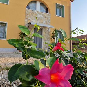 Ganfardine B&B Fiore Exterior photo