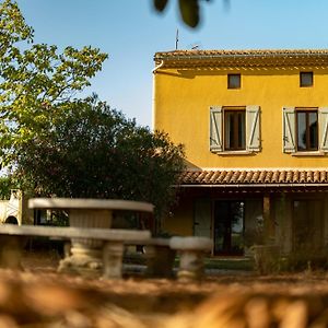 Alaigne Domaine De Nougayrol Large Luxury Villa With Private Pool, Free Wifi & Parking In Outstanding Vineyard Exterior photo