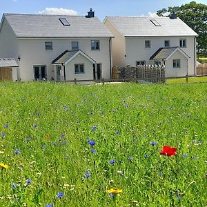 Myddfai Family Country Cottage With Stunning Mountain View Sleeps 12 Exterior photo