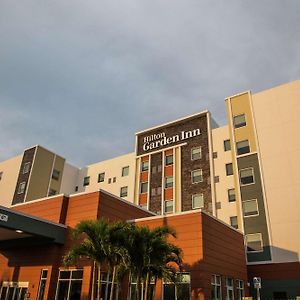 לוץ Hilton Garden Inn Tampa Suncoast Parkway Exterior photo