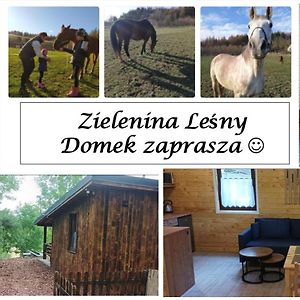 הוילה Mierzeszyn Zielenina Lesny Domek Exterior photo
