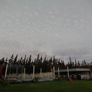 אסאוירה Villa Hakim Exterior photo