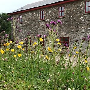 הוילה The Old Mill, Kilcorkey, Bellanagare, Castlerea, County Roscommon - West Of Ireland -House 1 Exterior photo