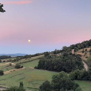 הוילה Ville-sur-Jarnioux Beaujolais - Maison Pierres Dorees Exterior photo