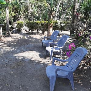 דירות Santo Domingo Playa Casa Nohelia Exterior photo