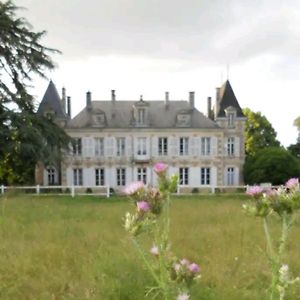 Coudavid Chateau De Famille En Poitou Exterior photo