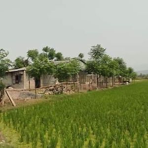 Debichaur Gadyauli Village Exterior photo