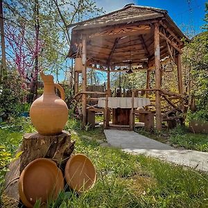 Lentekhi Guest House "Svaneti" Exterior photo