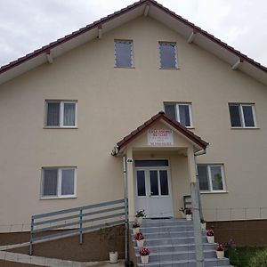 מלון Haţeg Casa Andrei Retezat Exterior photo