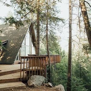 הוילה Lakehead Shasta A Frame Cabin With A View Exterior photo