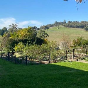 דירות דיקסונס קריק Mount Hope Estate Vineyard Exterior photo