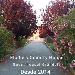 Grândola Elodie'S Country House - Alojamento Local Exterior photo