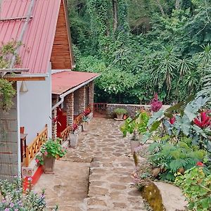 Marangu Mrefu Eco-Lodge Exterior photo