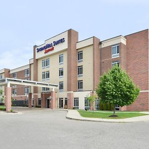 Springhill Suites By Marriott Detroit Metro Airport רומולוס Exterior photo