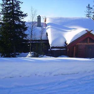 נסביין Bekkeli; Mountain Cabin, Amazing View - Ski In - Ski Out, Golf, Hike, Bike,, Fishing, Exterior photo