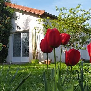 הוילה Saint-Rémy-lès-Chevreuse La Petite Maison Exterior photo