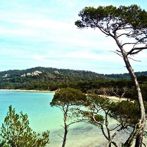 דירות Ile De Porquerolles : T3 Climatise Vue Mer Exterior photo