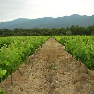 מלון Tresserre Domaine De Nidoleres Exterior photo